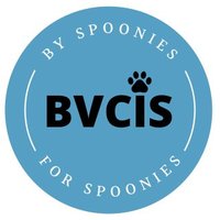 British Veterinary Chronic Illness Support(@vethealthUK) 's Twitter Profile Photo