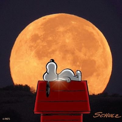 刑事ドラマが好きな平凡な人。好きな物にはのめり込むタイプ。月🌙.*·̩͙と星🌟を観るのが大好きでたまらない生粋の道民から関西へ移住(2023年)のエセ関西人✌️