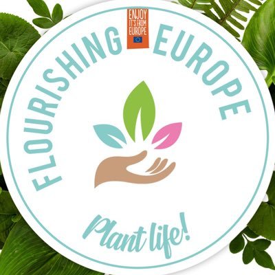 Plant Life! 
Because plants and flowers are so much more than just decoration💚 
EU co-financed project
#ENJOYITSFROMEUROPE