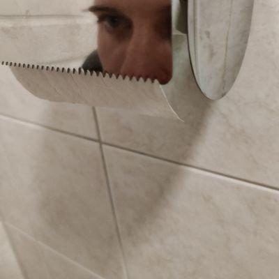 Dunkvin's profile picture. Koala