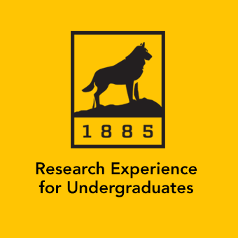 mtu_techscene's profile picture. TECH SCEnE: Technology, Science and Community Engagement in Engineering. Students combine engineering research with direct community involvement and impact.