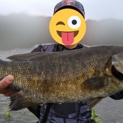 エイプ バス釣り初心者 Yuji Twitter エイプ バス釣り初心者 Yuji Twitter
