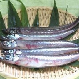 新潟県の西端糸魚川市で料理民宿を経営しています。　春はイルカがご挨拶　夏は燃える夕日が能登に沈み　秋は紅葉の頸城の山　冬は白銀の白馬岳　新幹線と貨物船が同時に見えるパノラマ海鮮食堂が人気　地魚中心の魚メニューの魚がし、北信越観光の中心にある糸魚川を便利に利用して下さい　おいしい料理と豊かな自然の情報を発信します。