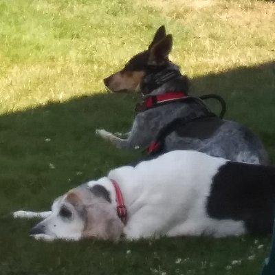 Jilly_mama's profile picture. 