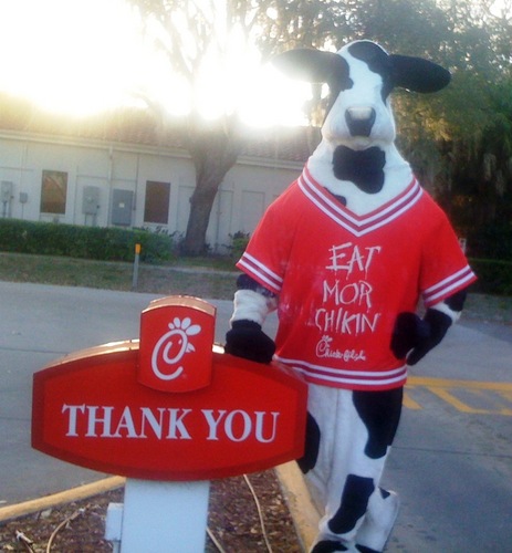chickfilafowler's profile picture. Double Drive Thru - Large Covered Lanai- FREE WiFi   Near USF / Temple Terrace Area Mon - Sat:  6:00 am - 10:00 pm Closed Sundays