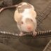 Tilda (@justfornotific2) Twitter profile photo Tilda (@justfornotific2) Twitter profile photo