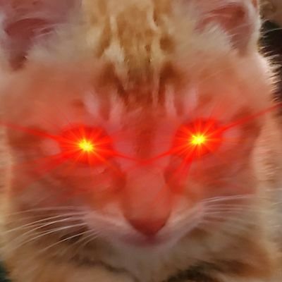 SWM1782680475's profile picture. 