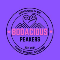 Bodacious Peakers (@bodaciouspeake1) 's Twitter Profile