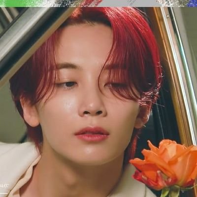 #Jeonghan: this acc person didn't bite people just dm her 🤟