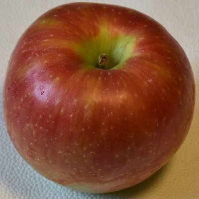 HarukaHoshio's profile picture. あ