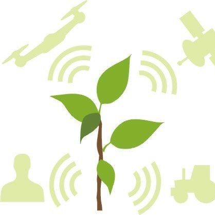 #remotesensing; Hyperspectral imaging; #precisionagriculture; #smart agriculture; High-throughput plant phenotyping; @HebrewU ; @HUJIAgri