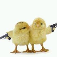 CoomanSenne's profile picture. snoepblikje