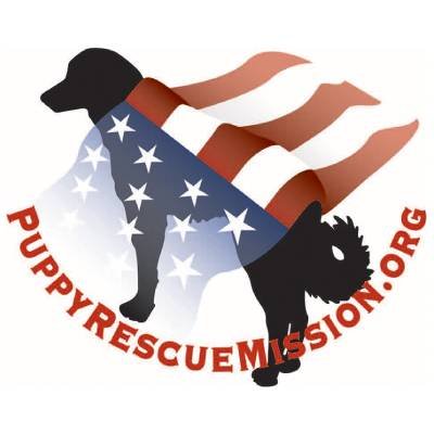 puppyrescuemis1 Profile Picture