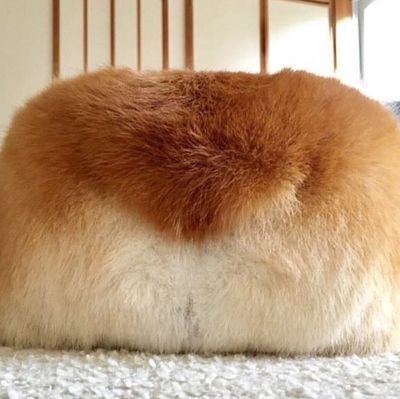 aCdryBN9yHlskcG's profile picture. ロアッソ好きなおばちゃんです🐴推しが多すぎで…😅⚽