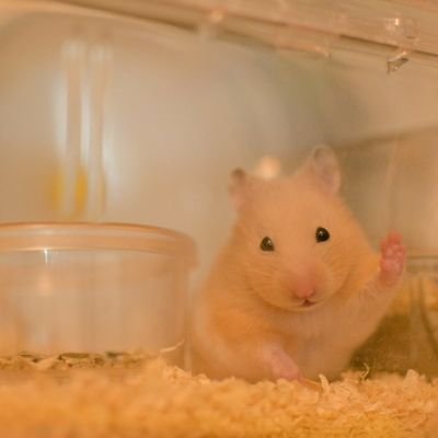 富山東高校→北海道大学経済学部→公務員→セールス→マーケティング→マネジメント/クラリネットとカメラが好き