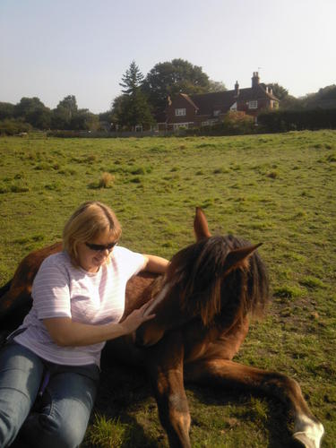 anna1379's profile picture. 