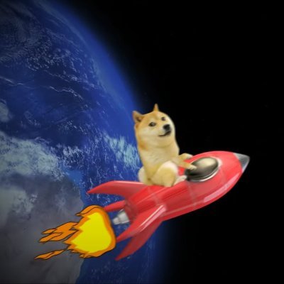 #Doge enthusiast 🚀🚀🚀
Proud collector of #Dogecoin
Every day is #Dogeday
No financial advice here!!!