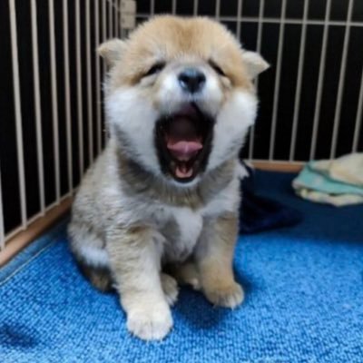 tsk0611's profile picture. 20代リーマン／178cm／年収850万／仕事と女遊びは体を壊さない程度に限界まで頑張ります