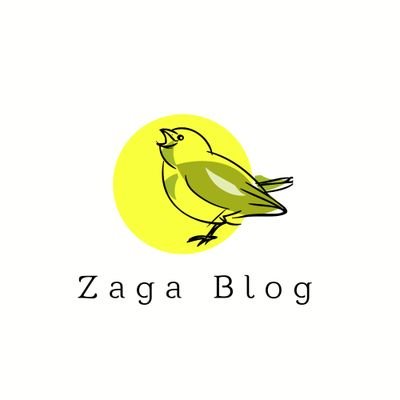 BlogZaga's profile picture. Blogger credit