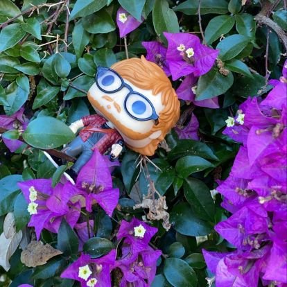 ed sheeran funko pop having fun 😍💪🏻|| admin is @d3adfa3rie