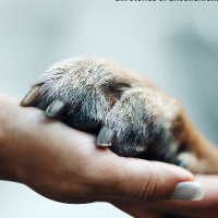 DogsOnNetflix (@netflix_dogs) 's Twitter Profile
