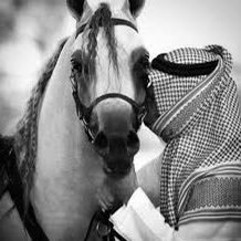 77_kok's profile picture. 🇸🇦