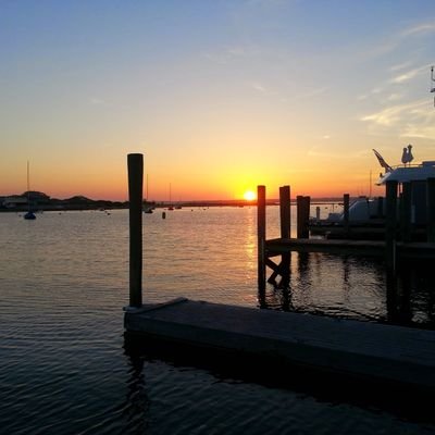 debraglfp's profile picture. 