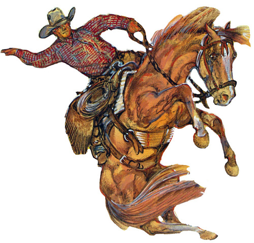 Premier feed and tack retailer located in Brighton, Colorado.  Specializing in saddles and tack for working cowboys, competitors and hobbyists.