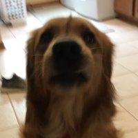 Evan Pohl (@pohl_evan) 's Twitter Profile