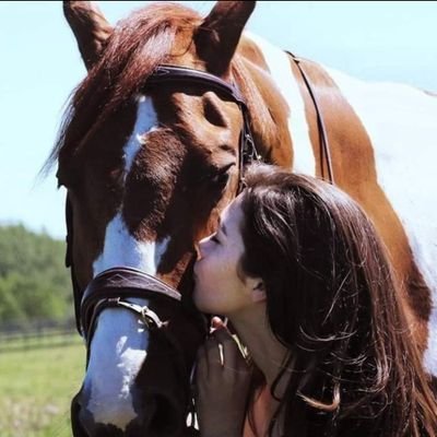 Adoro los caballos by María Fernanda Morgade es un grupo sobre deportes ecuestres,
caballos y equinoterapia.
https://t.co/KJwU0dGV6z…