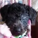 Jairo Molina - @JairoMo64834921 - Twitter