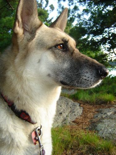 bernardsandler's profile picture. 