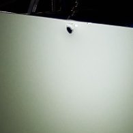 CarlosM33415743's profile picture. el muchacho