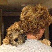 jeffvallance (@jeffvallance) 's Twitter Profile