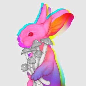 angriestbunny1 Profile Picture