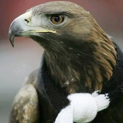 ecztek1903's profile picture. 