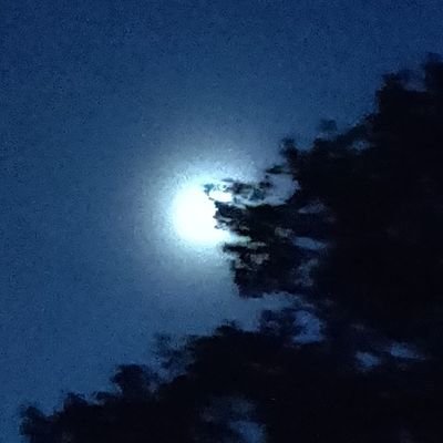 _evoxx's profile picture. Das Internet ist für uns alle Neuland
irgendwo zwischen troll und ernsthafter meinung kp