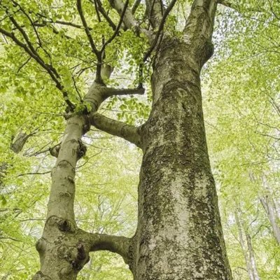 FormarizEducat1's profile picture. 