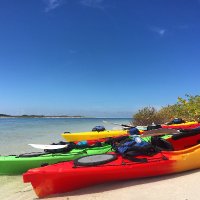 Coastal Kayak Charters(@KayakStPete) 's Twitter Profile Photo