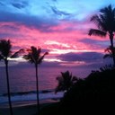 Lauren Colbert - @lcstudmuffin - Twitter