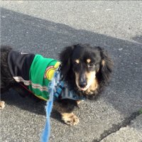 チビママ (@atsuko2726) 's Twitter Profile Photo