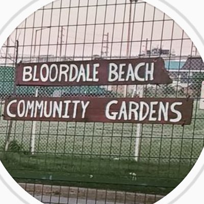 Let's grow some 🆒️ plants on this 🆒️ beach 🌱🏖 Community gardening Mondays at 6pm 🕕😷 Regular updates on Instagram, this account just auto-posts from there!