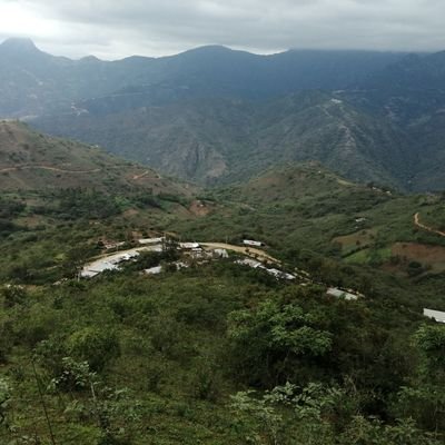 Roger_SantosC's profile picture. Perseverante.