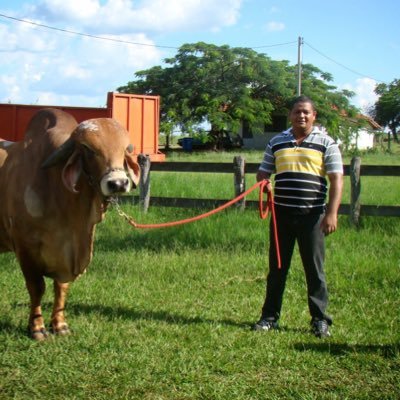 jjmd22's profile picture. Medico veterinario ..aeropuerto internacional Simón Bolívar maiquetia INSAI-Vargas