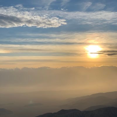 anonocla's profile picture. 