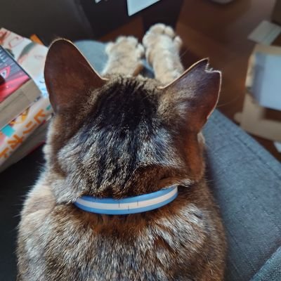 Sr46_sss's profile picture. 
