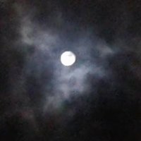 ŞÜKRÜ YILMAZASLAN (@sukrulmazaslan) 's Twitter Profile