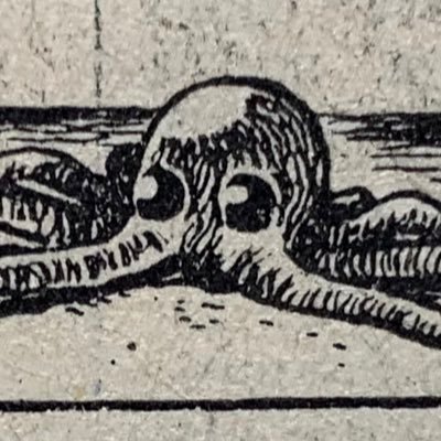 大阪の茶帯さんさんのプロフィール画像