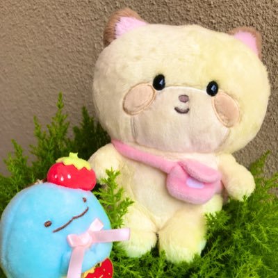 NJyx2wpzROdiPL7's profile picture. ココロアライグマとすみっコぐらしに癒される昭和生まれ。
ぬいぐるみと昭和の雰囲気のものに癒されています。