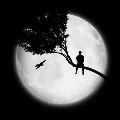 Is this the real life? Is this just fantasy?
Open your eyes, look up to the skies and see!